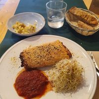  at CactusCat Bar in Barcelona