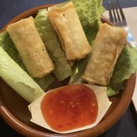   at CactusCat Bar in Barcelona