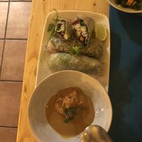 Spring Rolls at CactusCat Bar in Barcelona