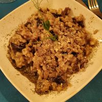 risoto de setas at CactusCat Bar in Barcelona
