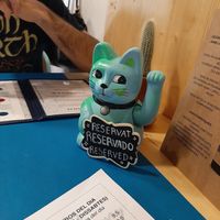 Me hipnotizó el gatete at CactusCat Bar in Barcelona