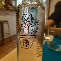 Hasta el agua era adorable at CactusCat Bar in Barcelona