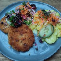 Veganes Schnitzel aus Erbsenproteinfleisch at Oskar in Bayreuth