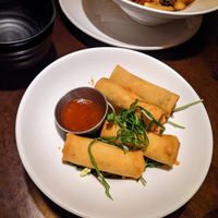 Vegan deep fried spring rolls at Arario Midtown in Reno