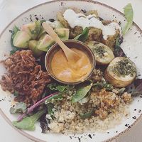 Big vegan plate: stewed jack fruit, Salad, red lentils falafel, roasted potatoes with rosemary...  at Bar Hola Flora in Burgos