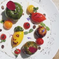 Tomatoes with burrata cream, coffee, basil and lemon verbena. Veggy plate.  at Bar Hola Flora in Burgos