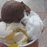 Had the three flavour cup. at Gelateria Ponte Pietra in Verona