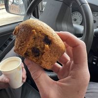 Chocolate chip pumpkin   at Love Muffin Cafe in Moab