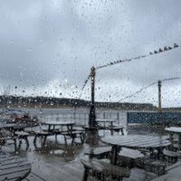   at Captain's Table in Findhorn