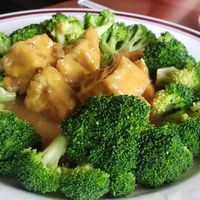 Tofu Rama: Tofu with peanut sauce and broccoli at Twisted Noodles in Durham