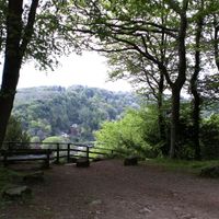 View from seating area at Symonds Yat Rock Cafe in Coleford