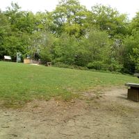 Green by seating area at Symonds Yat Rock Cafe in Coleford