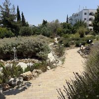  at Polis Herb Garden in Paphos