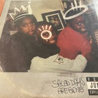 Front cover of LP  at Vegan Junkies in Lisbon