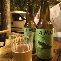 Craft ale (brewed one street away from the restaurant) at Vegan Junkies in Lisbon