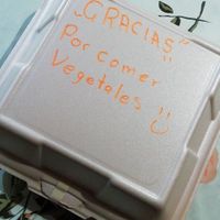 Gracias Trágame Tierra por existir 🙏🏻 at Trágame Tierra in Puebla