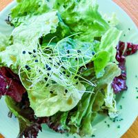 Green salad and vegan dressing at Bahnhof in Kallnach
