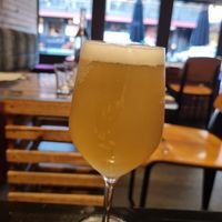 Beer - Eugene lager matched beautifully at Yulli's in Surry Hills