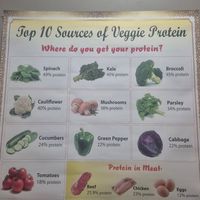  at West End Vegan Restaurant in West End