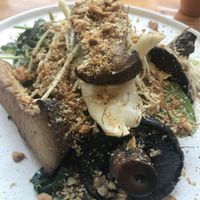 Mushroom toast with truffle oil  at Little Lotus Cafe in Hobart