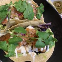 Mung bean and hemp seed tacos  at Little Lotus Cafe in Hobart