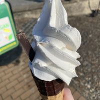 Medium Vegan Whippy with chocolate cone and chocolate stick  at v360 in Brighton