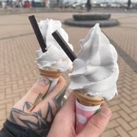 Vegan whippys   at v360 in Brighton