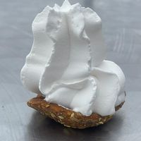 Dog Whippy!  at v360 in Brighton