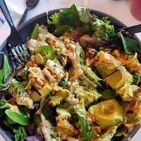  at Vegan Food House in Dallas