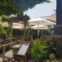 Exterior at The Olive Tree in Mallorca