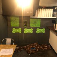 Dog friendly area inside :) at V Temple Bar in Dublin