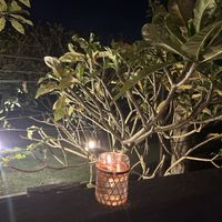 upstairs seating   at MOTHER in Ubud