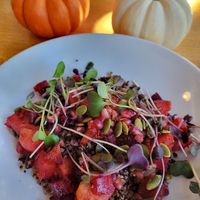Harvest quinoa/rice bowl at Press on Monmouth in Newport
