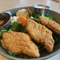 Steamed veggie bowl  at Native Foods in Palm Springs