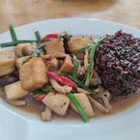 Mushroom Tofu Brown Rice at Loving Vegan in Da Nang