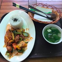 BBQ false chicken with vegetables at Loving Vegan in Da Nang