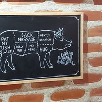  at EnVie Vegan in Geneva