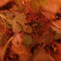 Gyoza in chilli oil at Chotto Motto in Collingwood