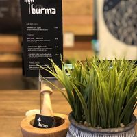 Almost all dishes can be made vegan or vegetarian with tofu or veggies instead of meat, still with a great flavor. at Urban Burma in Aurora