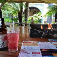 Vegan drinks at The Palm in Sunderland