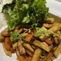 Mushroom tofu stir fry at Bong Bonlai at YK Art House in Phnom Penh