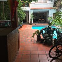 Hidden jungle! at Bong Bonlai at YK Art House in Phnom Penh