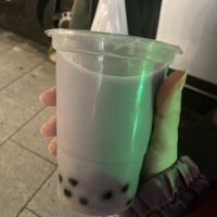 Taro  at ZenZoo in Madrid