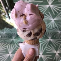 Vegan ice cream (rasperry cheesecake and cookie dough)  at Scoop 'n Dough in Lisbon
