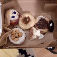 Creative variety of donuts. Apple crumb is great. at Scoop 'n Dough in Lisbon