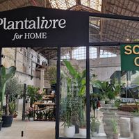  at Scoop 'n Dough in Lisbon