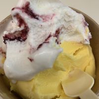 Blueberry / coconut and mango / coconut  at Scoop 'n Dough in Lisbon