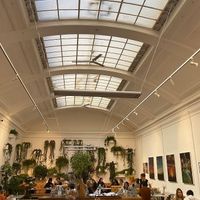   at Medicine in Birmingham