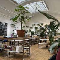 cafe floor  at Medicine in Birmingham