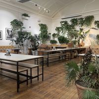   at Medicine in Birmingham